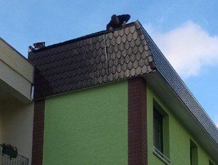 Dach Bieberschwanz