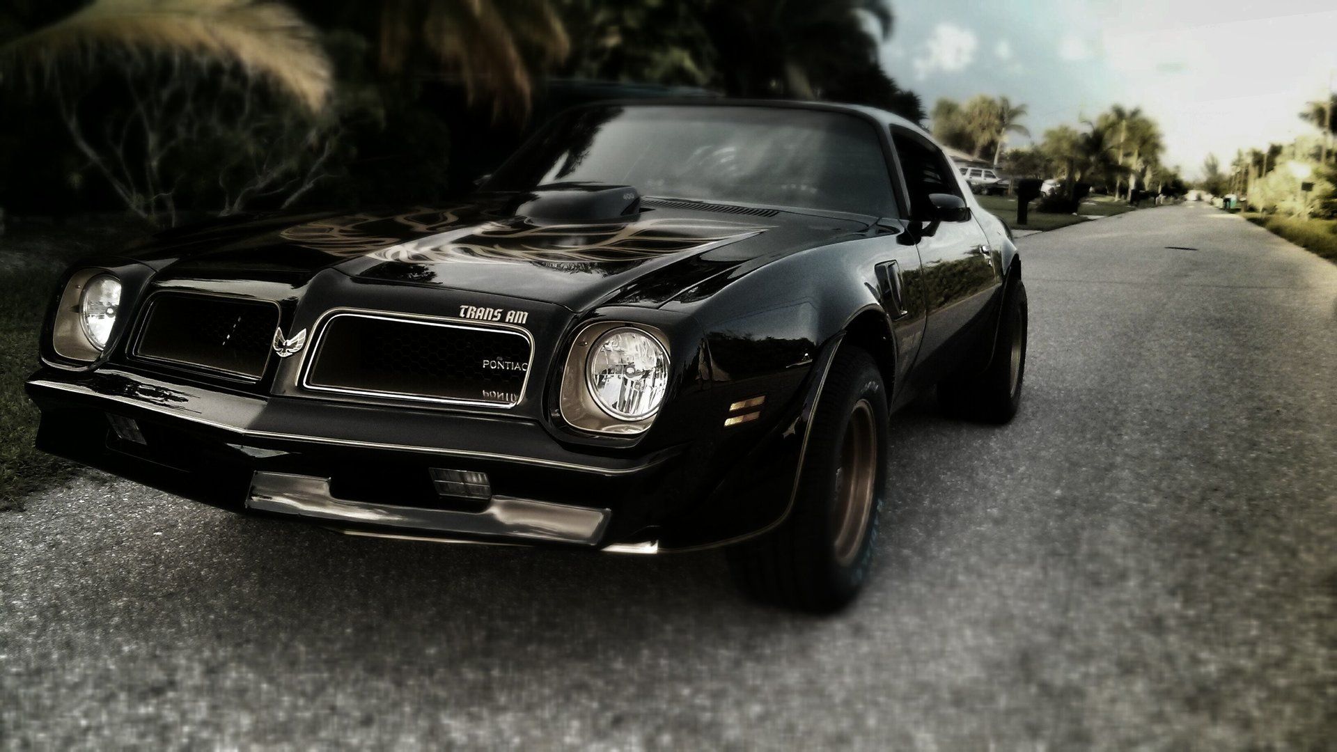 Villa Lion's Garden - Pontiac Trans Am Firebird