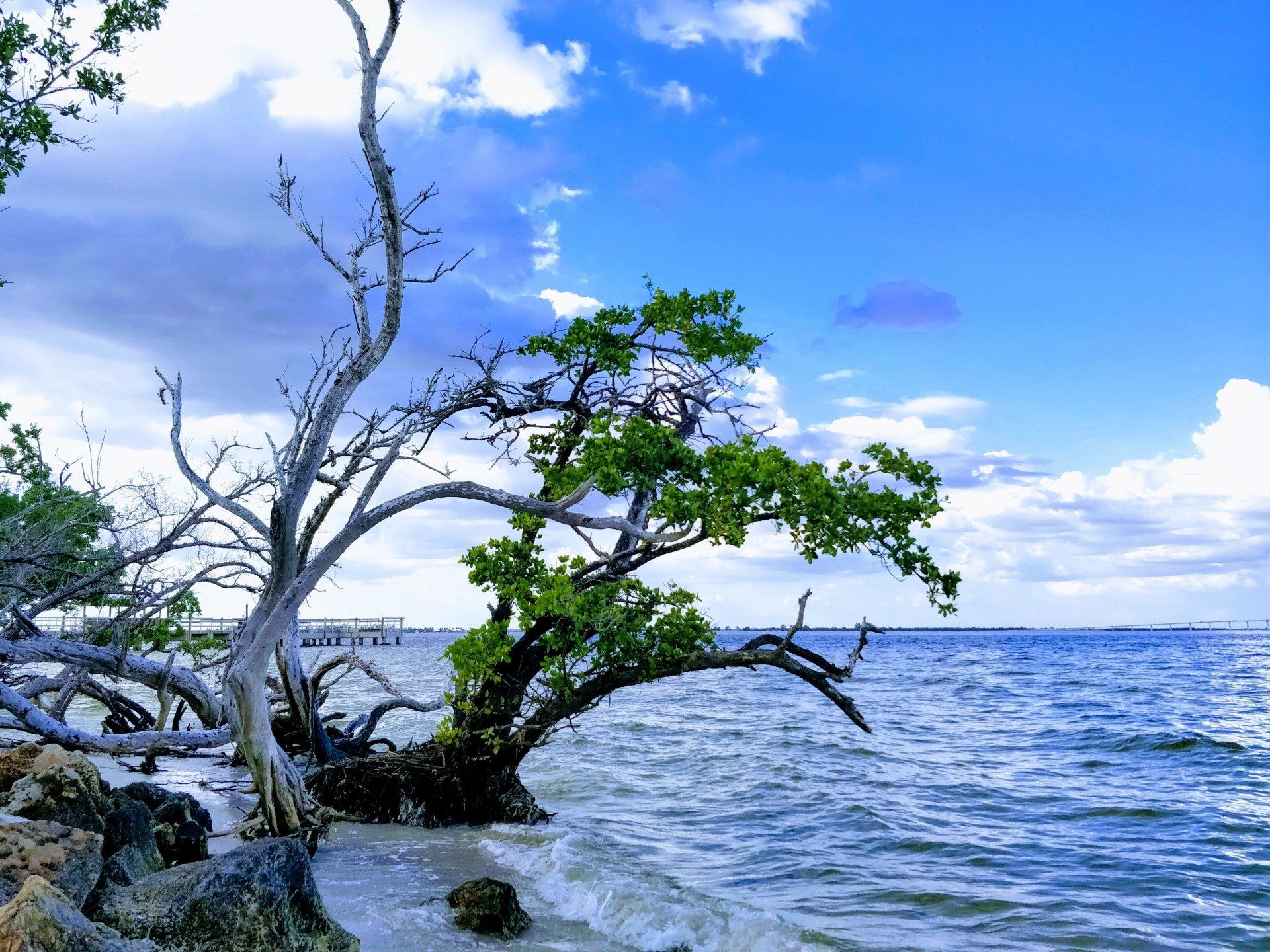 Villa Lion's Garden - Sanibel Island