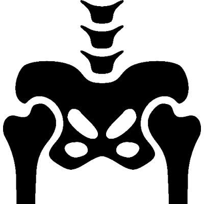 scheletro del bacino