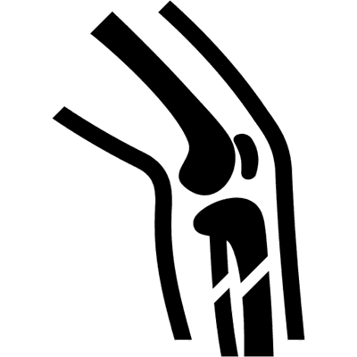 legamento del ginocchio