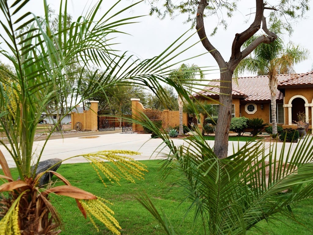 Plants and Trees Outside the House — Imperial, CA — NS Construction
