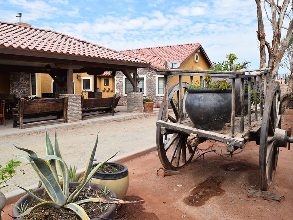 Plants on Wooden Cart — Imperial, CA — NS Construction