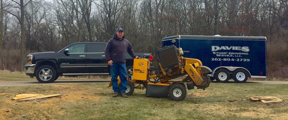 Tree Stump Removal, Waukesha County, WI