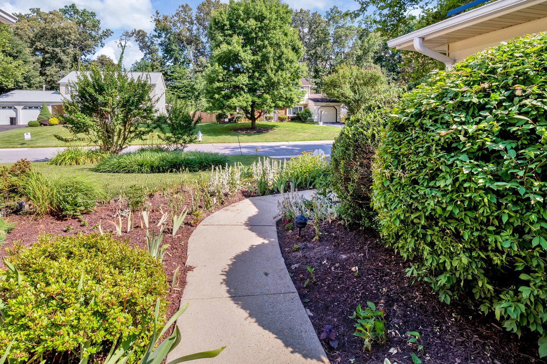 A concrete walkway leading to a house surrounded by bushes and trees.