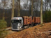Transporta pakalpojumi