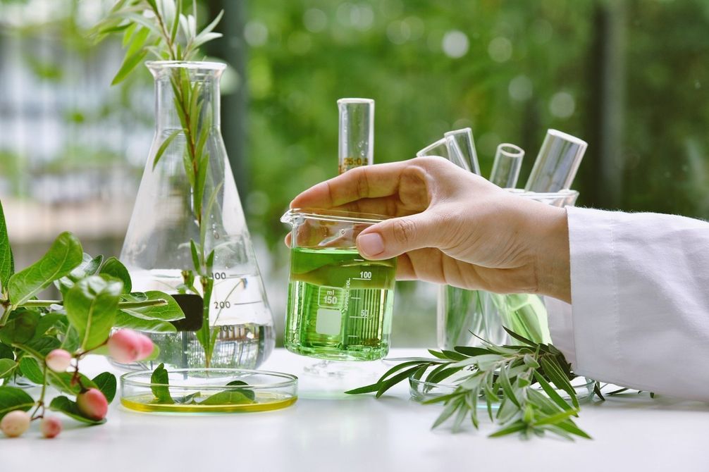 erboristeria