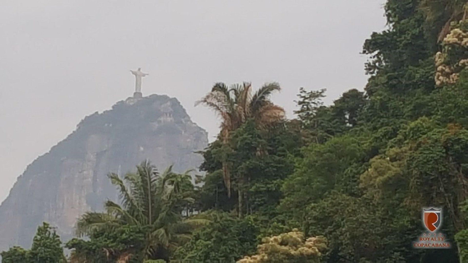 Uma estátua de Jesus no topo de uma montanha cercada por árvores.