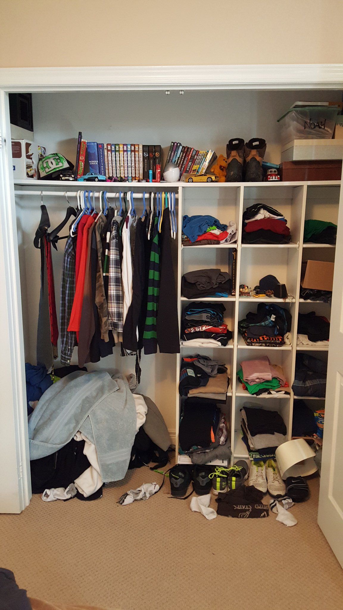 Organizen By Liora Before 12