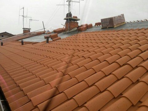 tegole di un tetto