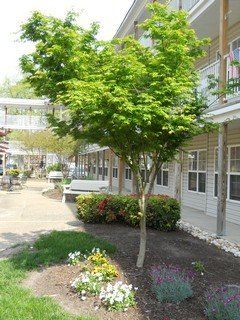 The Commons at Greenwood Exterior