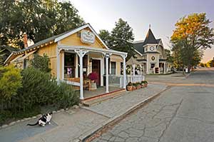 Los Olivos