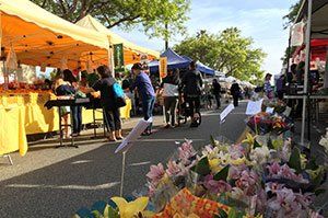 Farmers Market, Montecito, CA