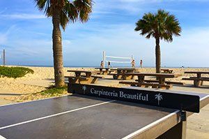 Ping Pong Table in Carpinteria