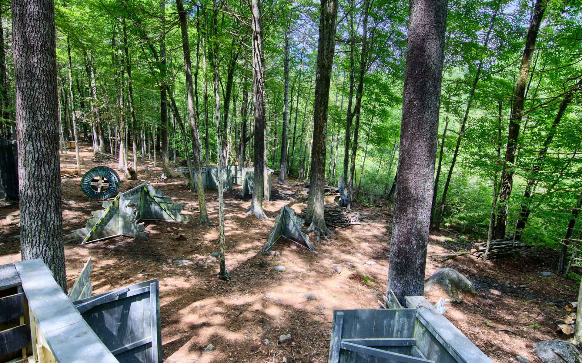 Paintball field in a forest setting with bunkers and trees.