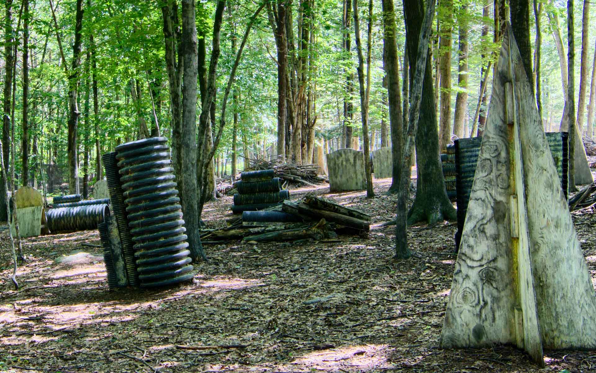 Paintball field with trees and protective barriers.