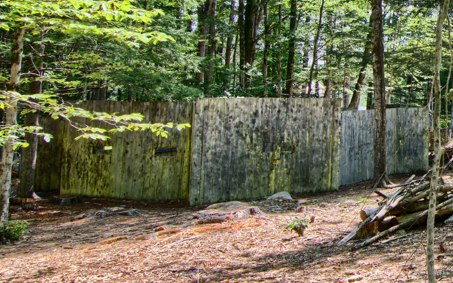 A moss-covered concrete structure in a forest clearing, with openings for possible viewing.