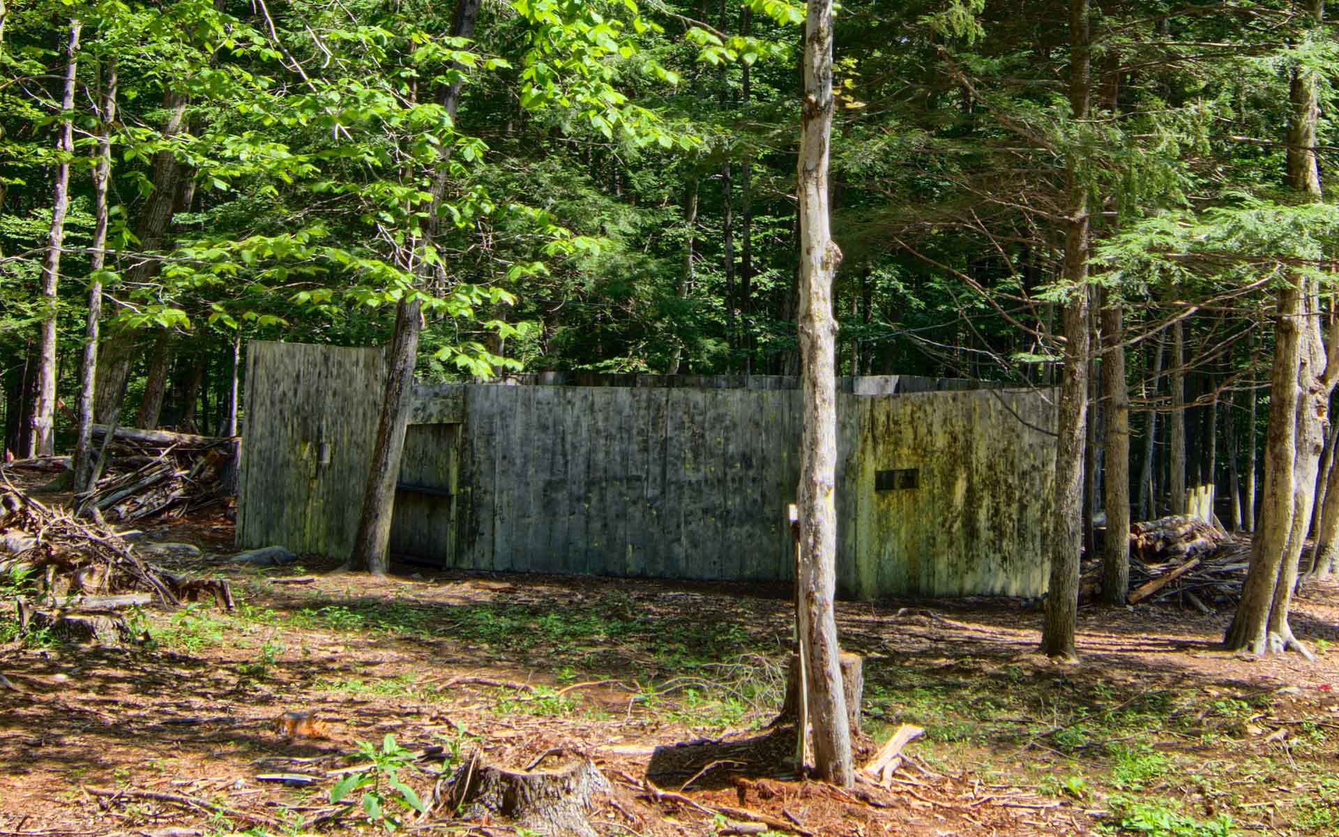 Weathered wooden structure in a sunlit forest clearing, with trees surrounding it.
