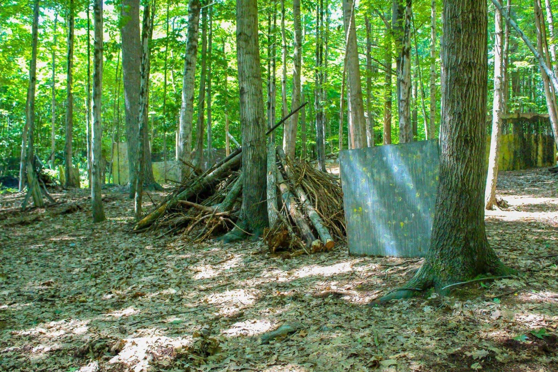 Forest paintball field with trees, debris, and a plywood barrier covered in paint splatters.