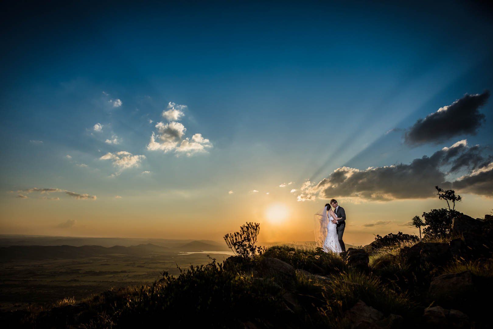 Cussonia Crest - www.lwgphoto.co.za
