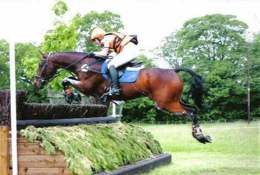 Equestrian Competition Team |Stud Farm