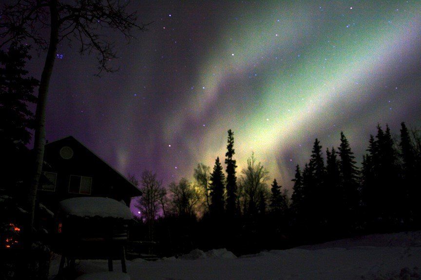 Vibrant green and purple aurora borealis illuminates the night sky over a snow-covered forest and a silhouetted house.
