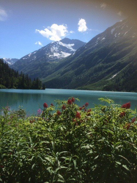 A turquoise glacial lake surrounded by steep, snow-dusted mountains, with a foreground of green bushes and red wildflowers.