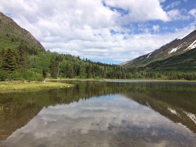 A calm lake reflects a line of evergreen trees and mountains under a blue sky with white clouds.