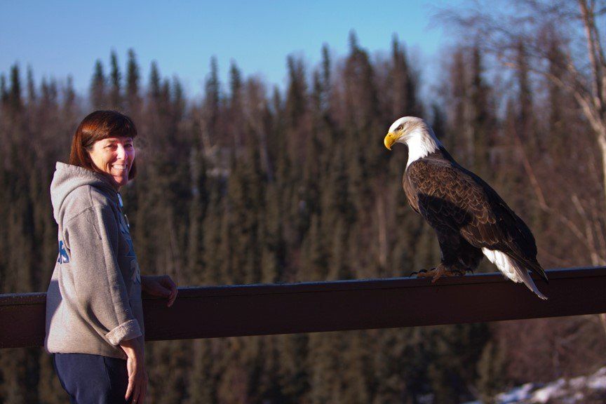 A person standing on a deck beside a bald eagle perched on the railing against a backdrop of a dense pine forest.