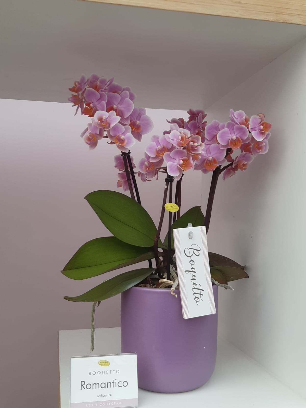 Fiori