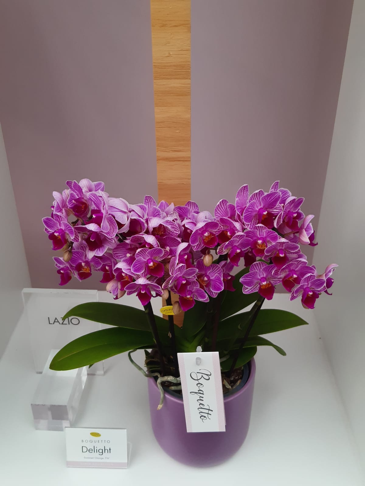 Fiori