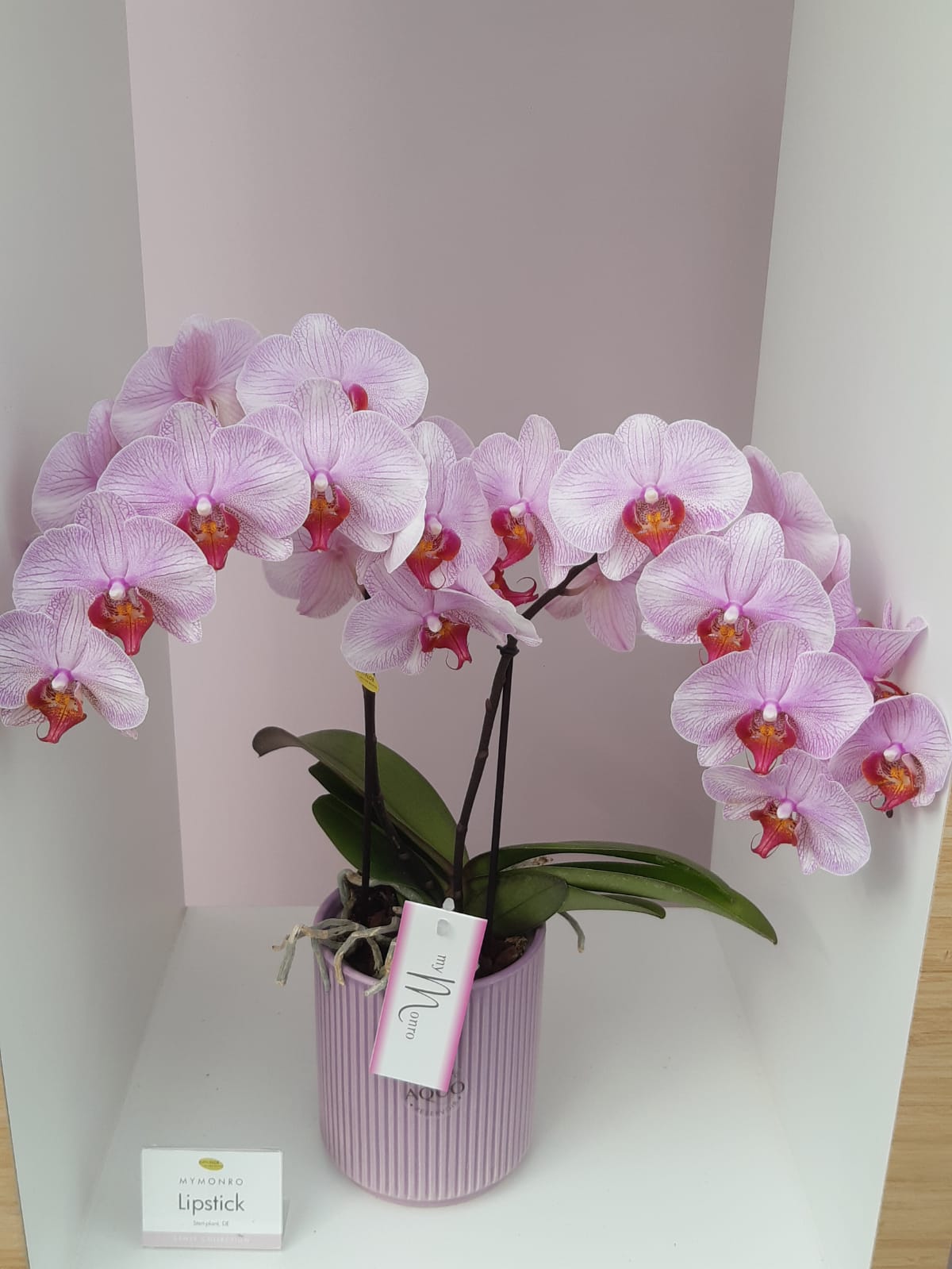 Fiori
