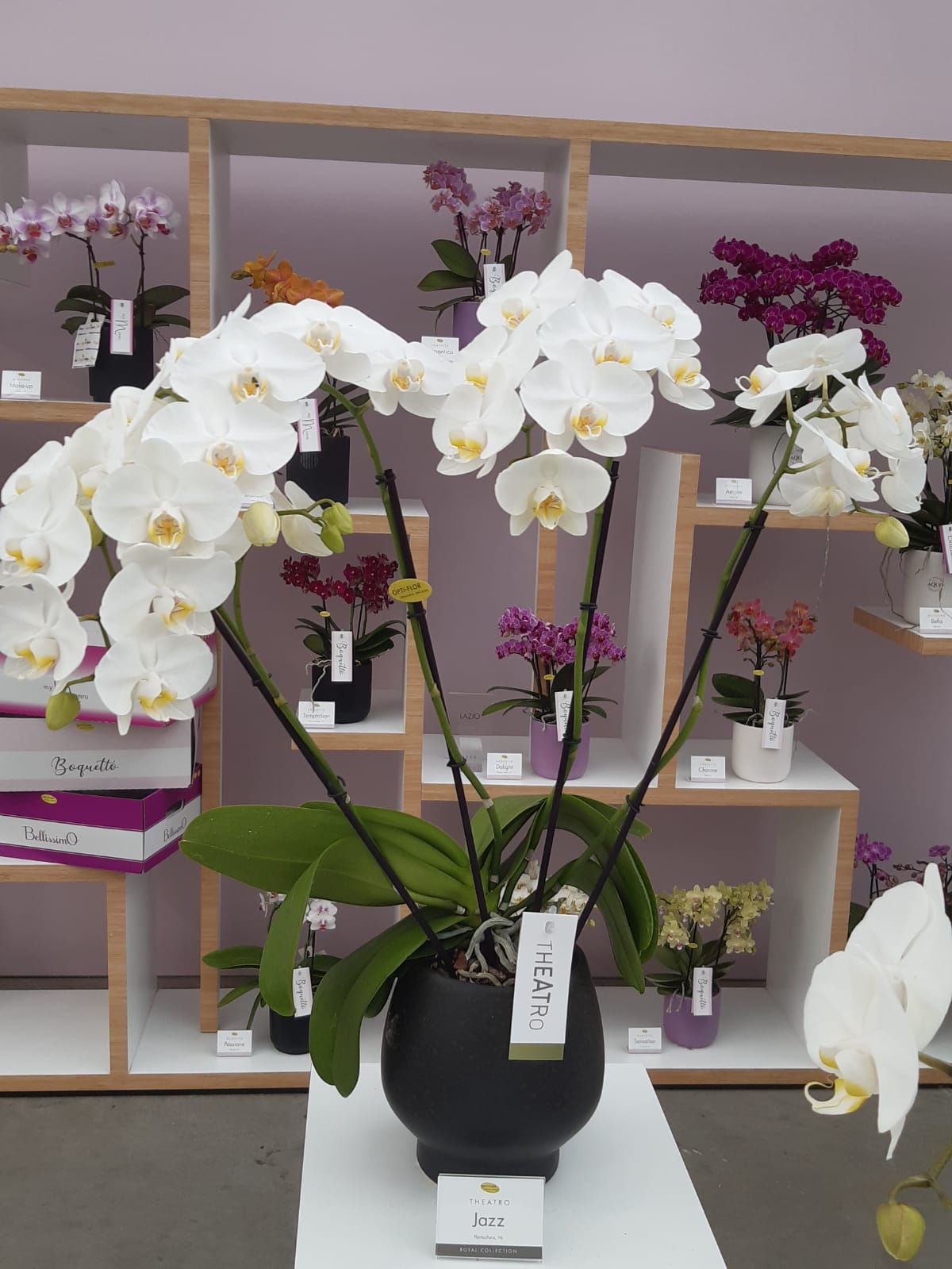Fiori