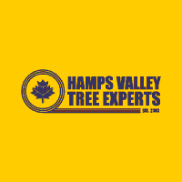 Hamps Valley Ltd logo