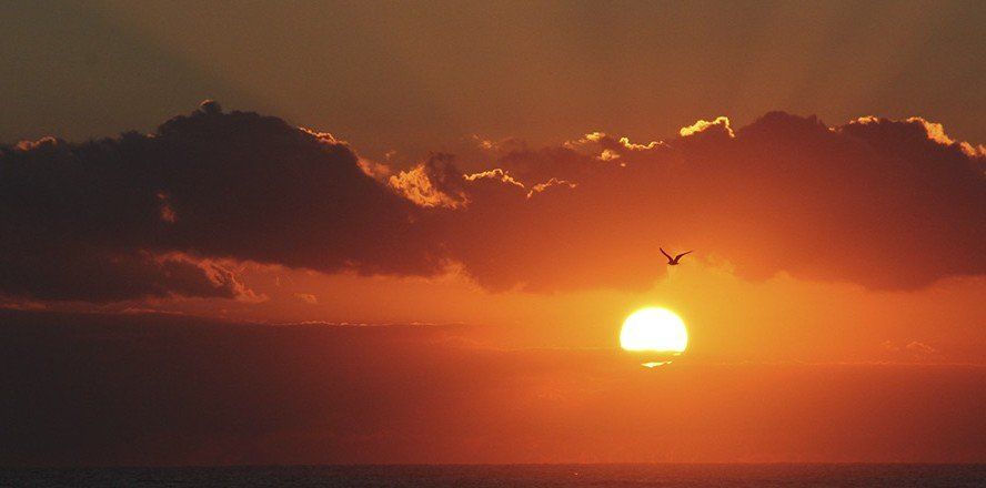 sunset