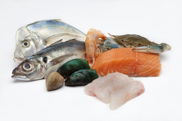 pesce fresco