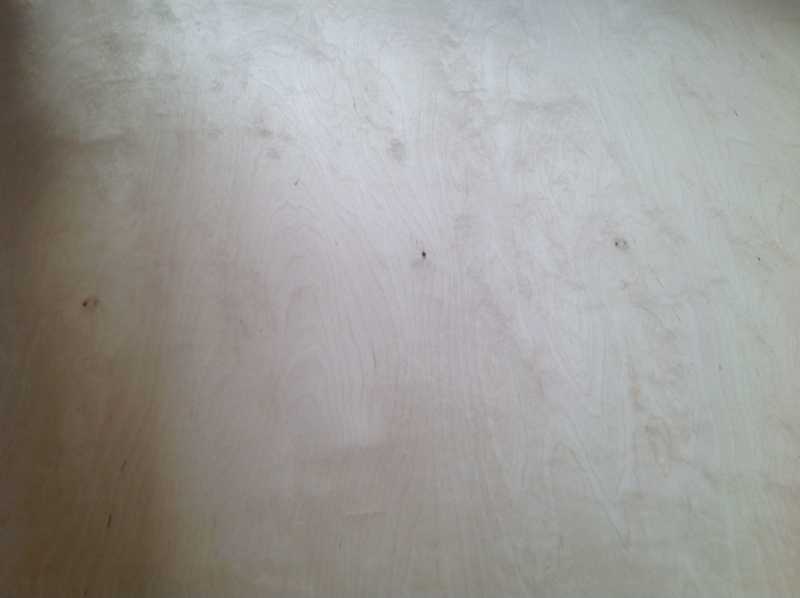 Pannello di olmo