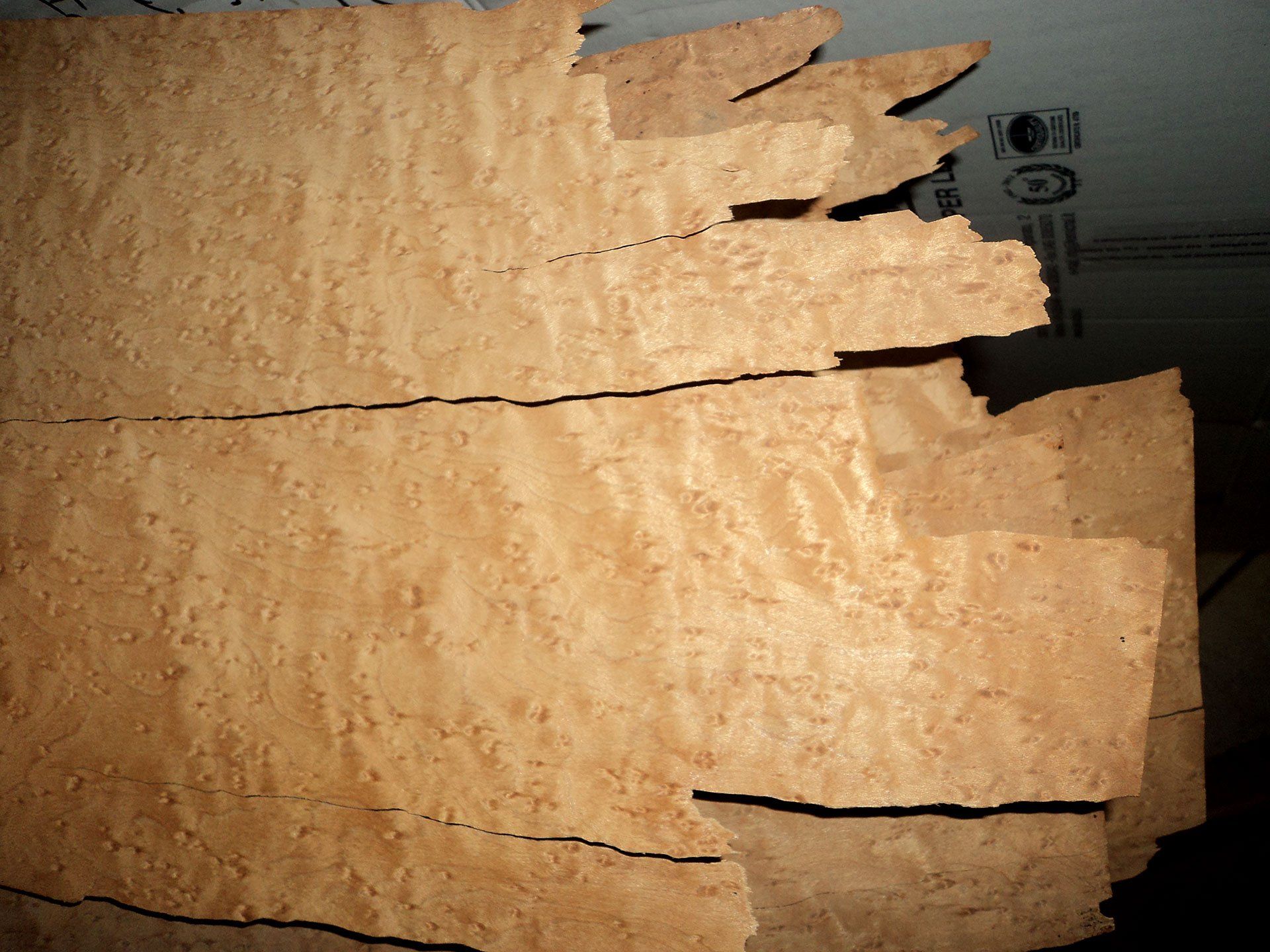 Compensati di legno