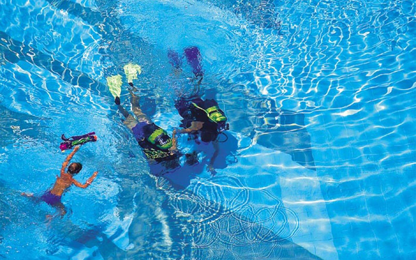 Eine Gruppe von Leuten schwimmt in einem Schwimmbecken.