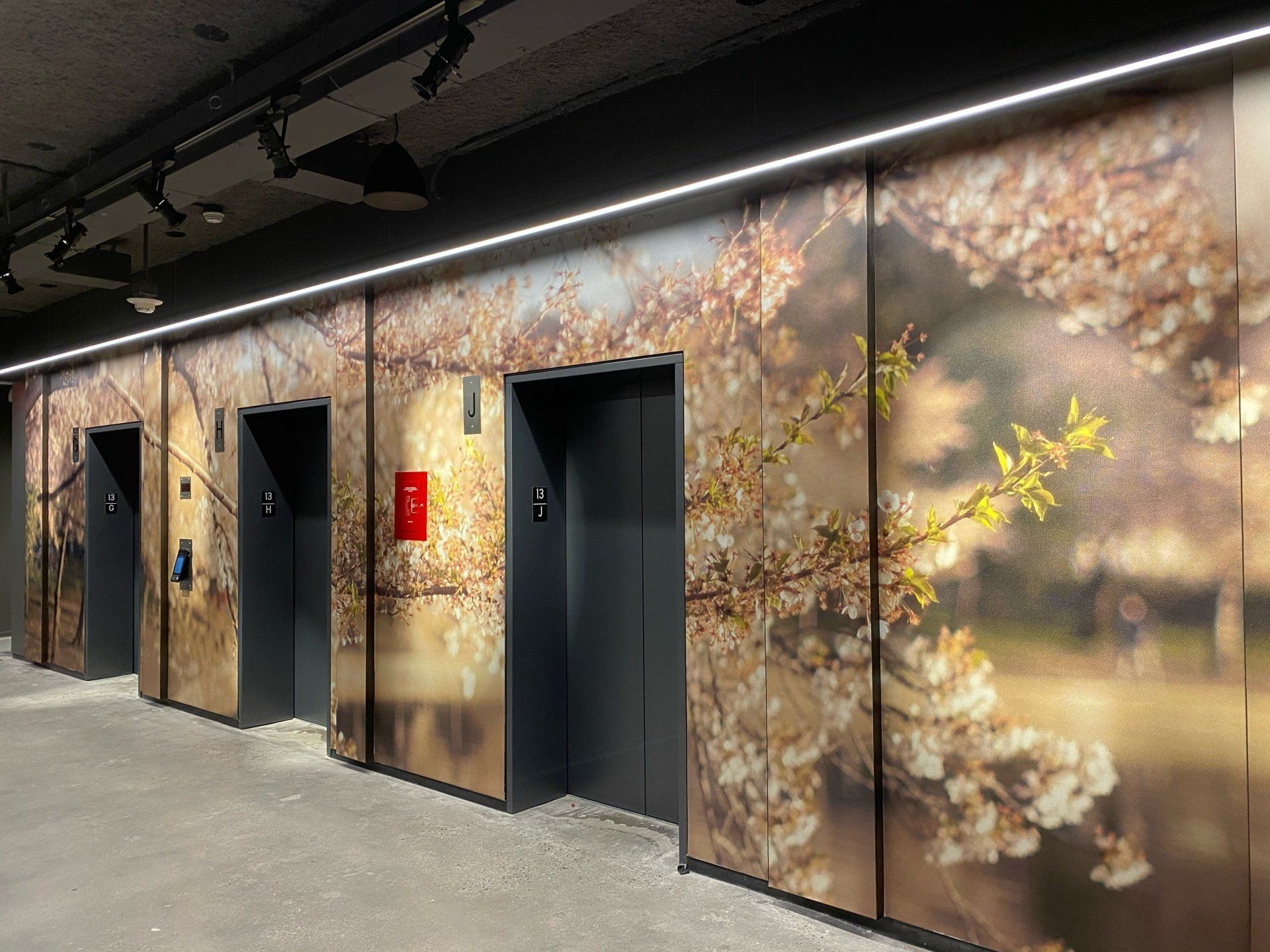 Wall Coverings, Column Wraps and Murals