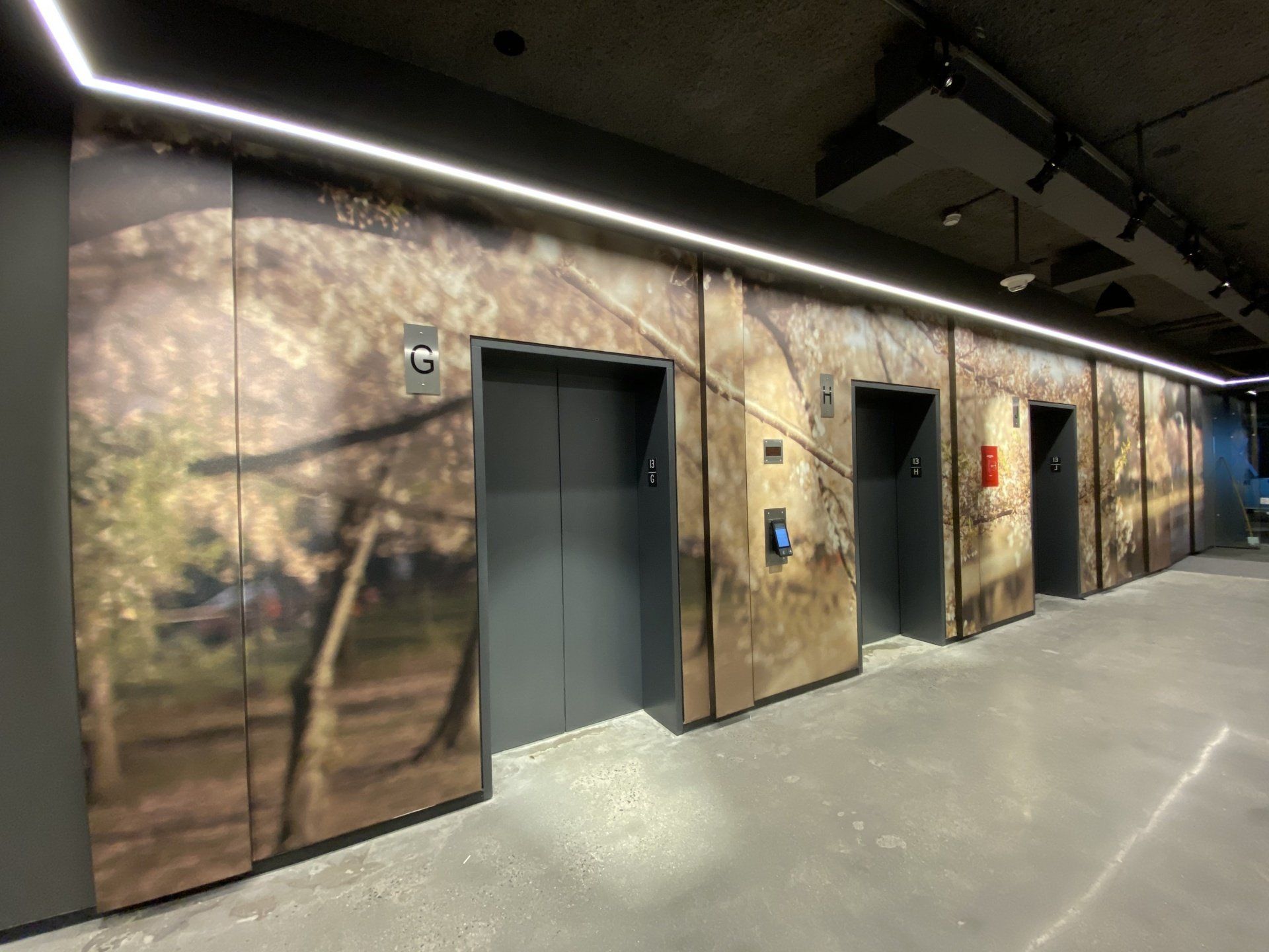Wall Coverings, Column Wraps and Murals
