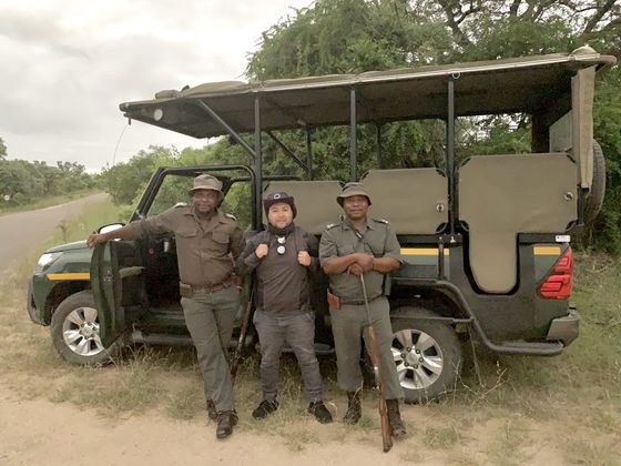 bush walk park rangers safari into the wild