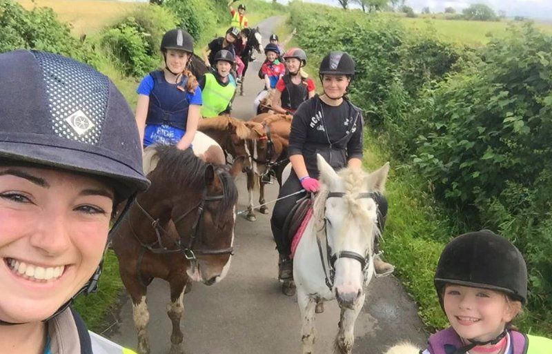 Horse riding lessons