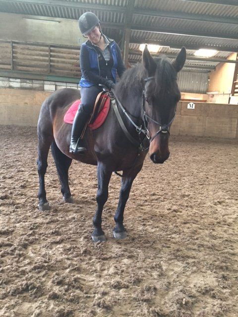 horse riding trainer