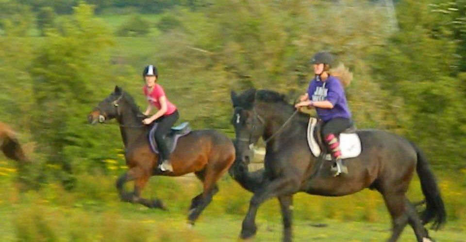 Indoor and outdoor horse riding