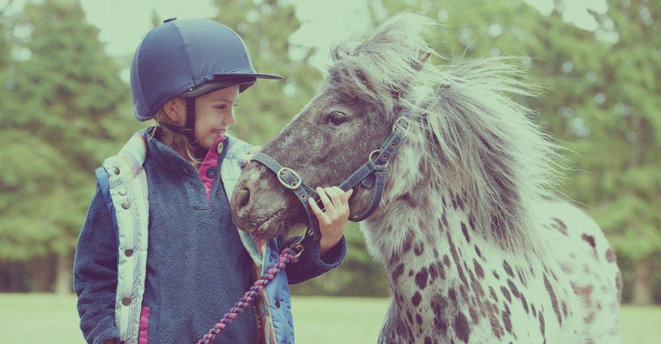 Children's pony parties