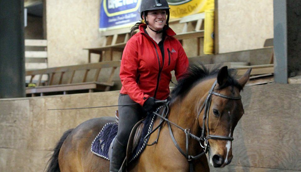 Horse riding lessons