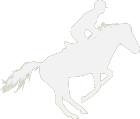 Busy Equitation Centre Company Logo