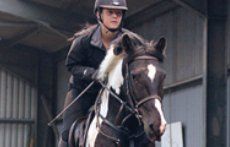 Horse riding lessons