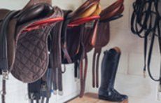 Horse riding equipment